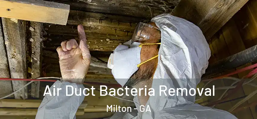  Air Duct Bacteria Removal Milton - GA