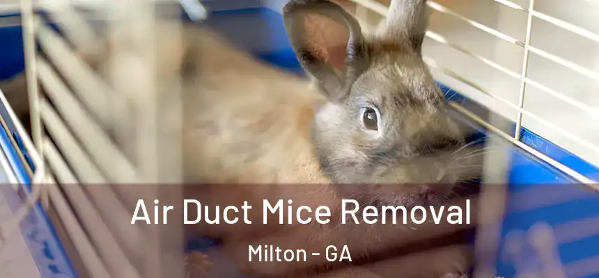 Air Duct Mice Removal Milton - GA