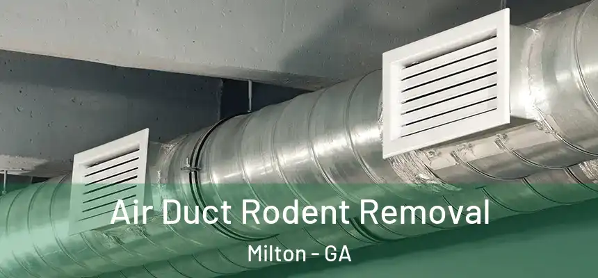  Air Duct Rodent Removal Milton - GA