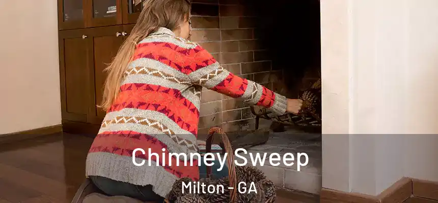  Chimney Sweep Milton - GA