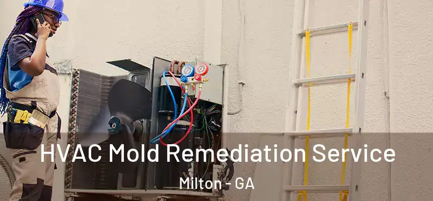  HVAC Mold Remediation Service Milton - GA
