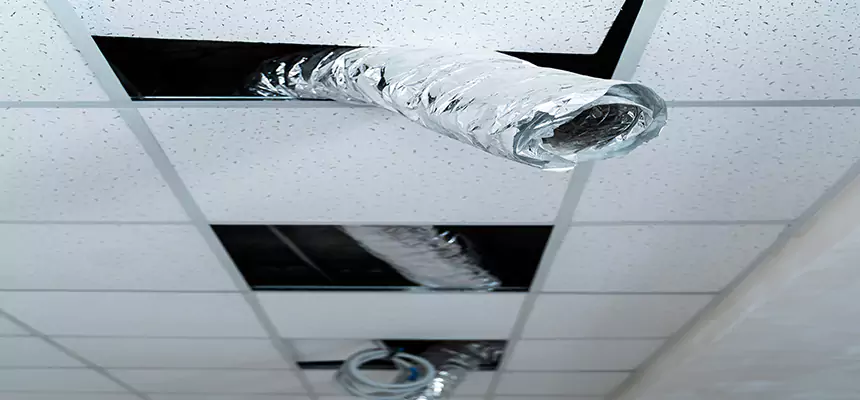 Affordable HVAC Sanitizing After Pest Removal in Milton