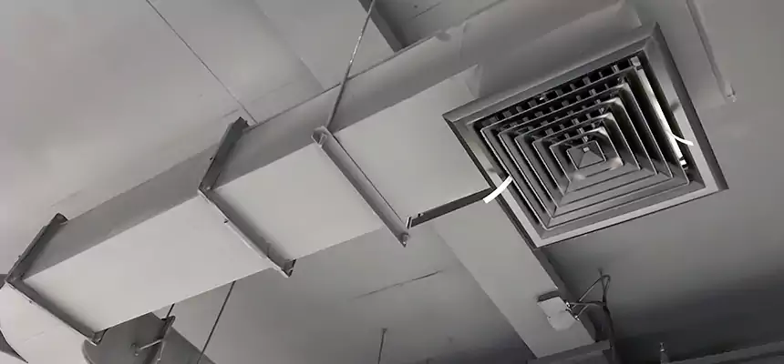 Restorative Allergy Relief Vent Cleaning – Coil, Blower & Housing Detail in Milton