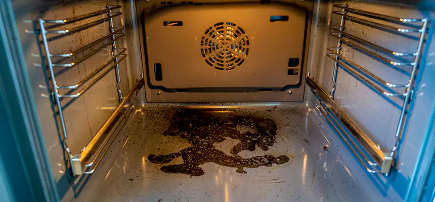 Our Dryer Vent Mold Cleaning Services in Milton, GA