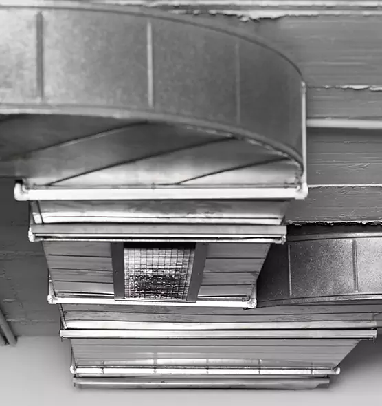 Professional Air Duct Pet Hair Removal in Milton, GA