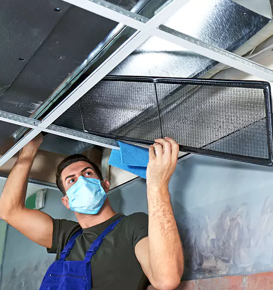 Professional Air Duct Pollen Cleaning in Milton, GA