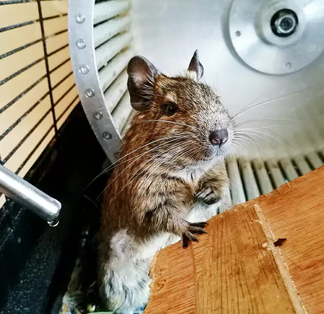 Why Homeowners & Businesses Trust Us Milton, GA