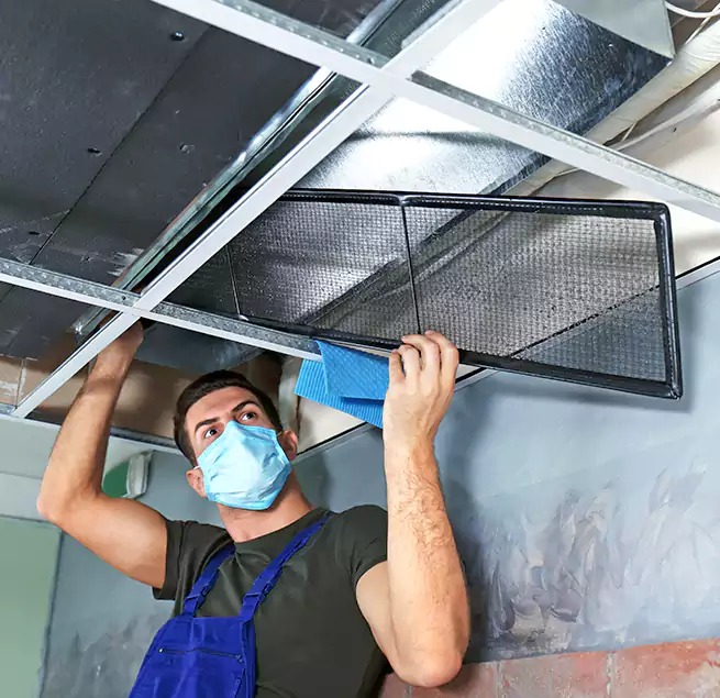 Why Homeowners Businesses Trust Us in Milton, GA